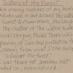 Sisters Of The Forest Artist Notes